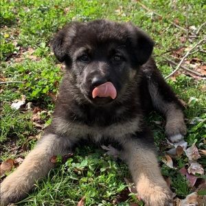 Meet your Posher, Whitney